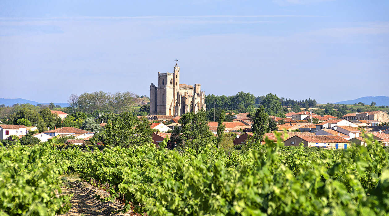 Agriculture viticulture